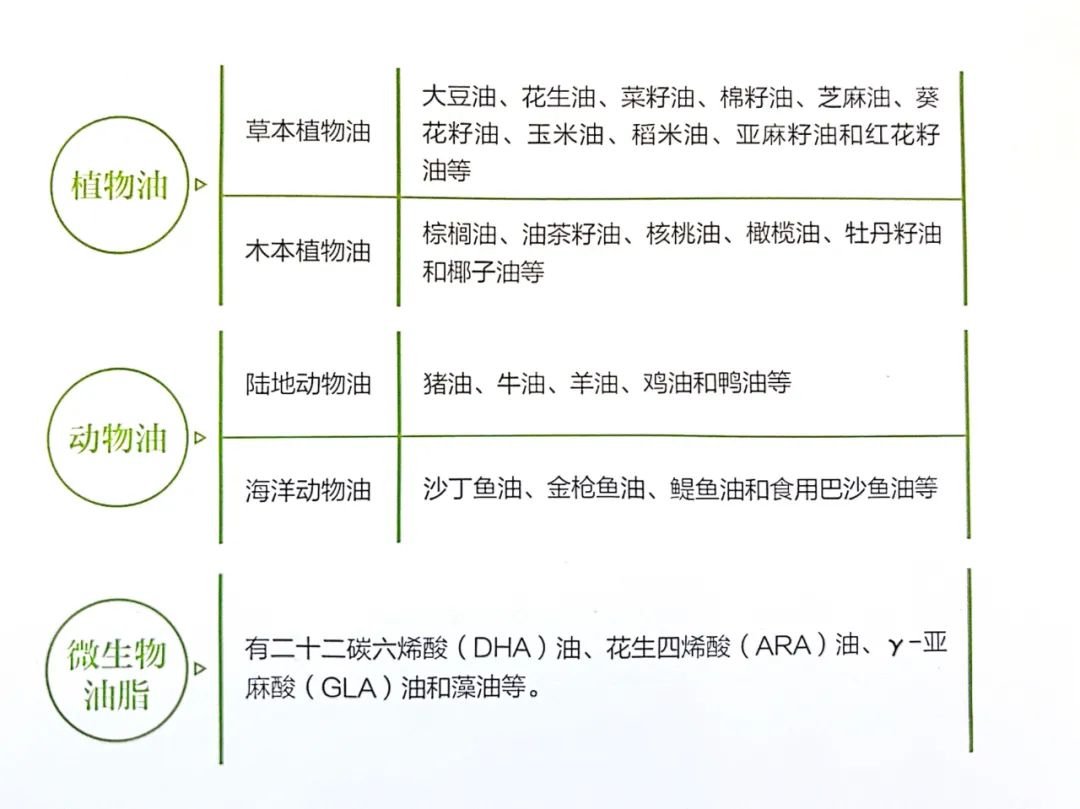 食用油分类